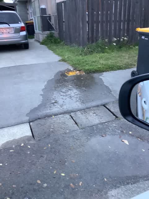 Water Leak, a report photo