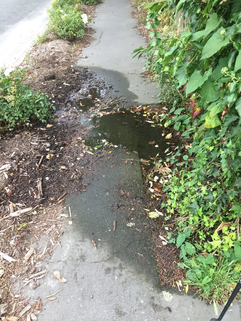 The photograph attached to this water leak report