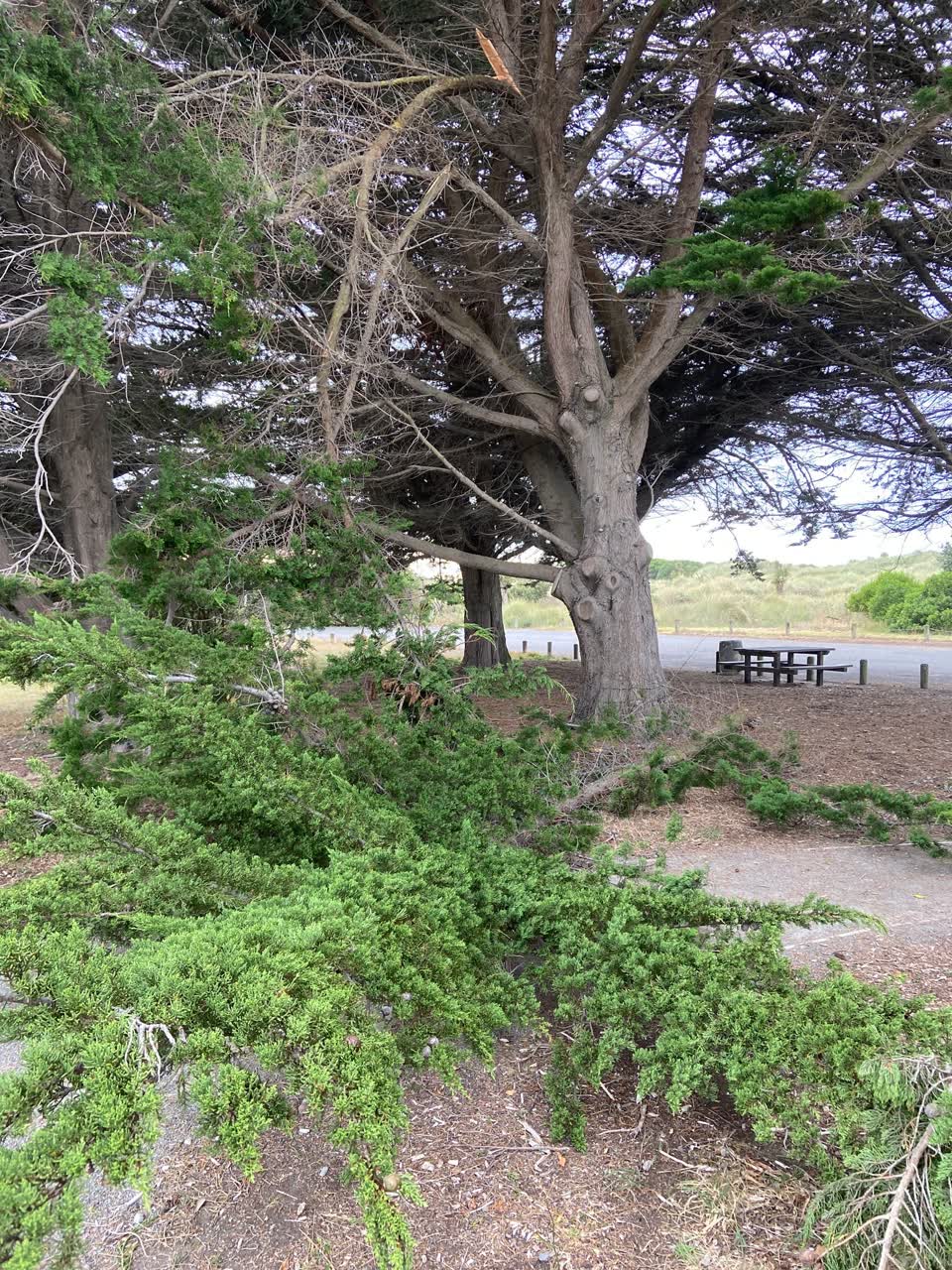 The photograph attached to this parks report