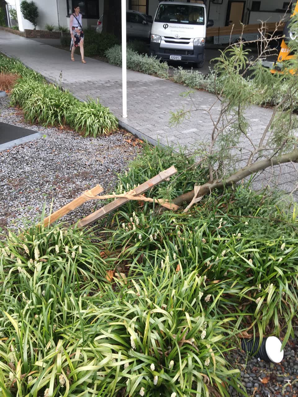 The photograph attached to this roading/streets report