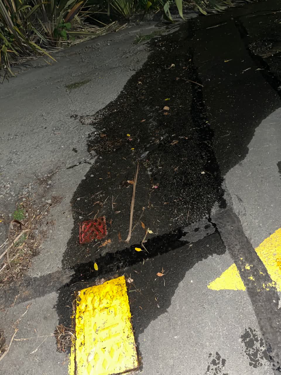 The photograph attached to this water leak report