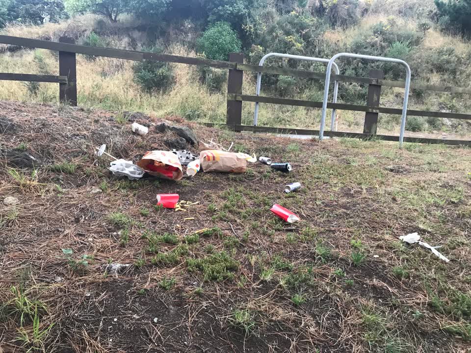 The photograph attached to this rubbish/recycling report