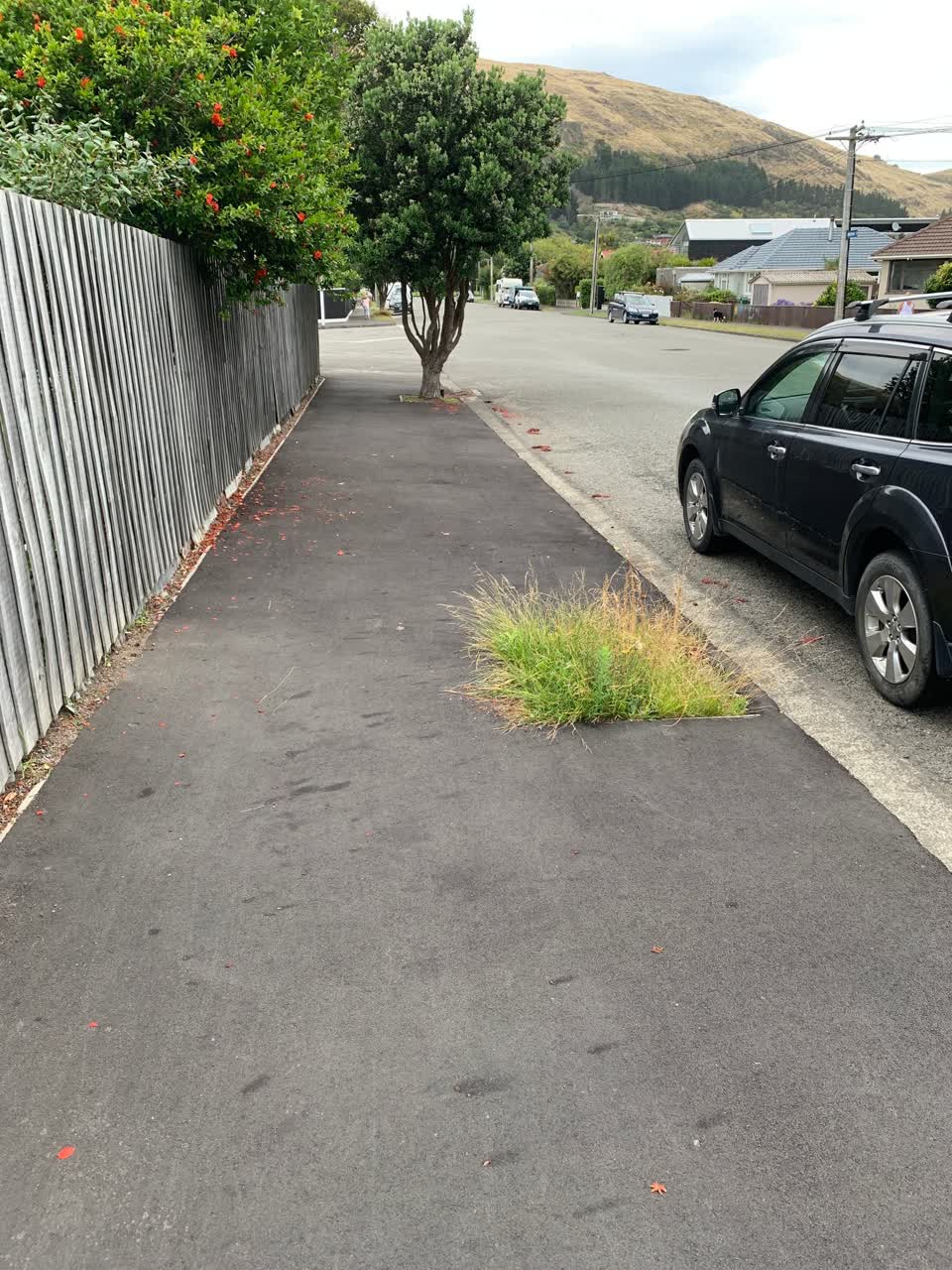 The photograph attached to this roading/streets report