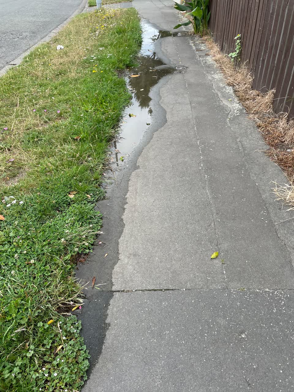 The photograph attached to this water supply report