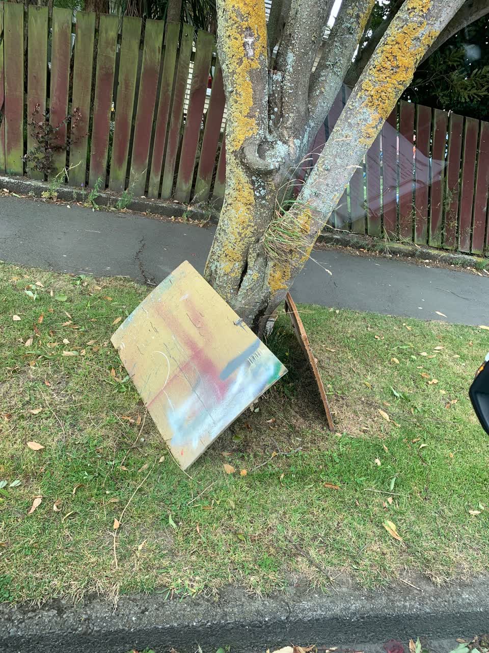 The photograph attached to this rubbish/recycling report