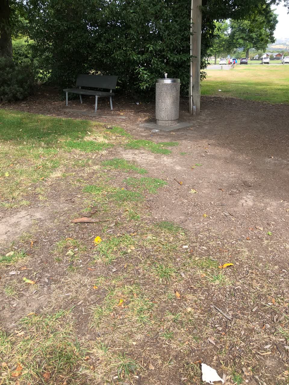 The photograph attached to this parks report