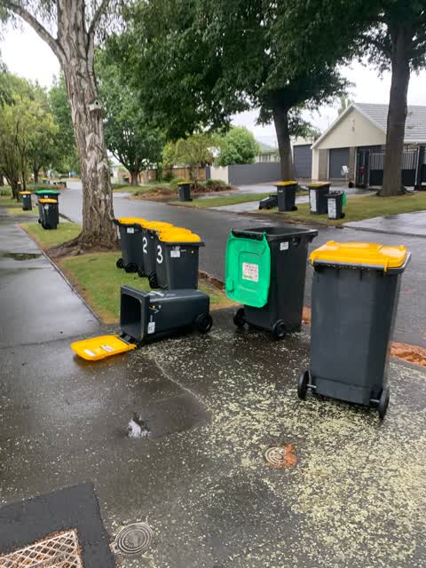 Rubbish/Recycling, a report photo