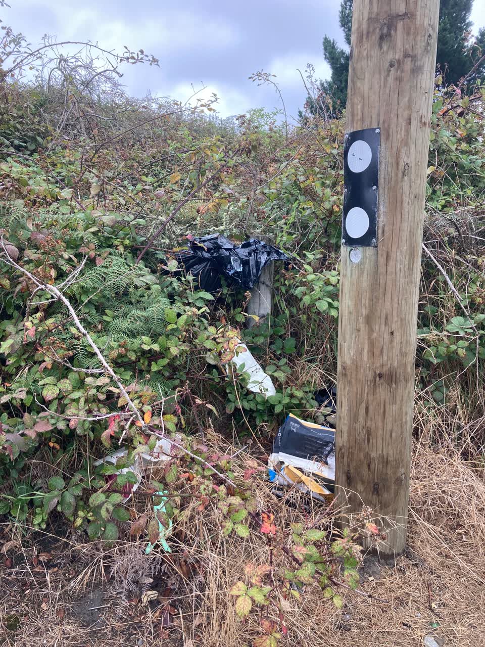 The photograph attached to this rubbish/recycling report