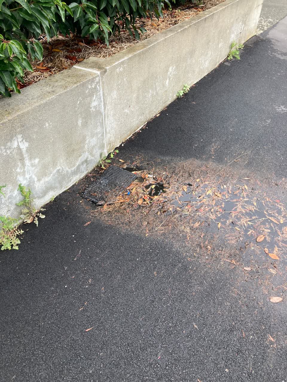 The photograph attached to this water leak report