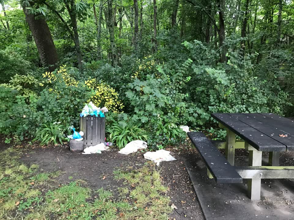 The photograph attached to this rubbish/recycling report