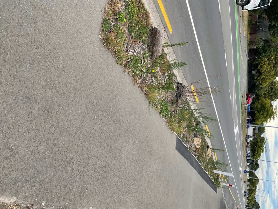 The photograph attached to this roading/streets report