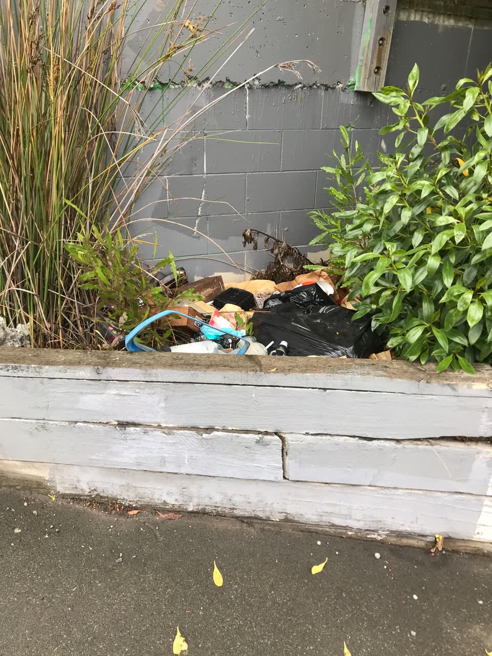 The photograph attached to this rubbish/recycling report