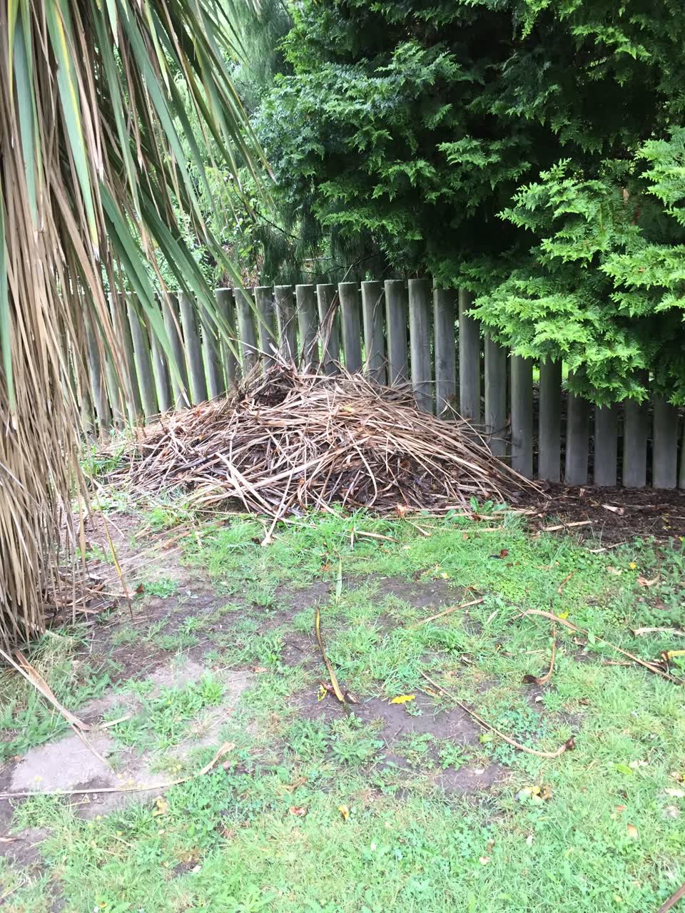 The photograph attached to this parks report
