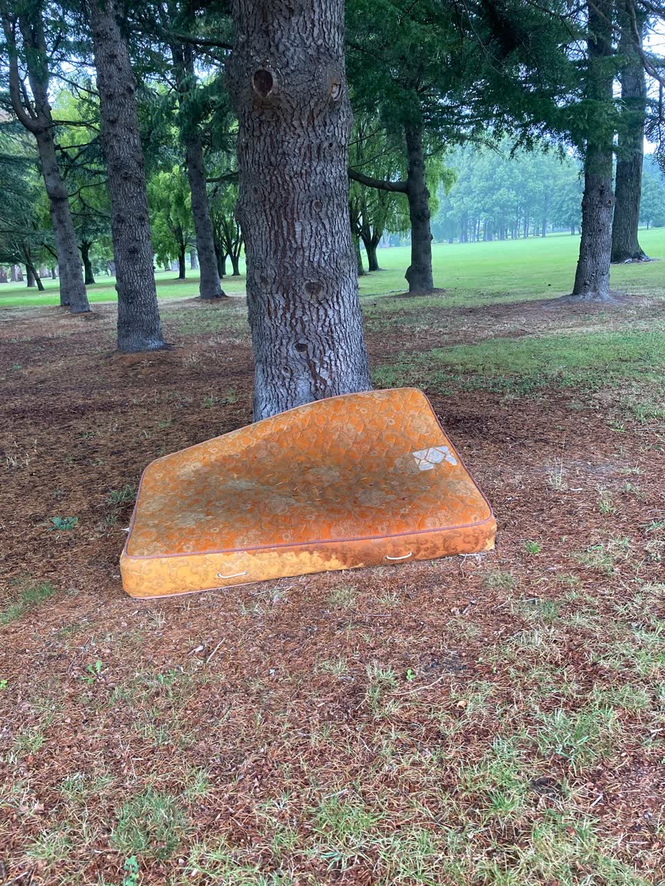 The photograph attached to this parks report