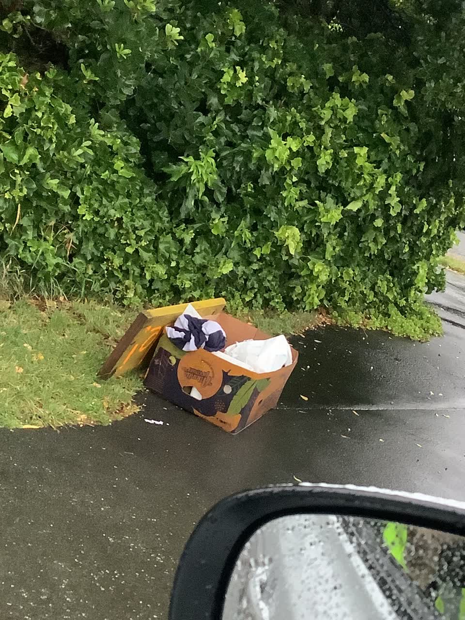 The photograph attached to this rubbish/recycling report