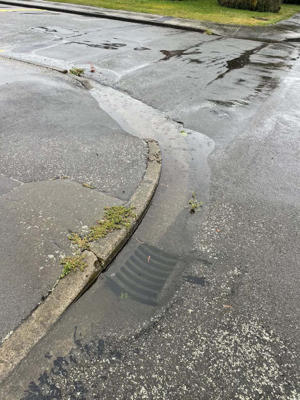 The photograph attached to this sewer - leak / blockage report