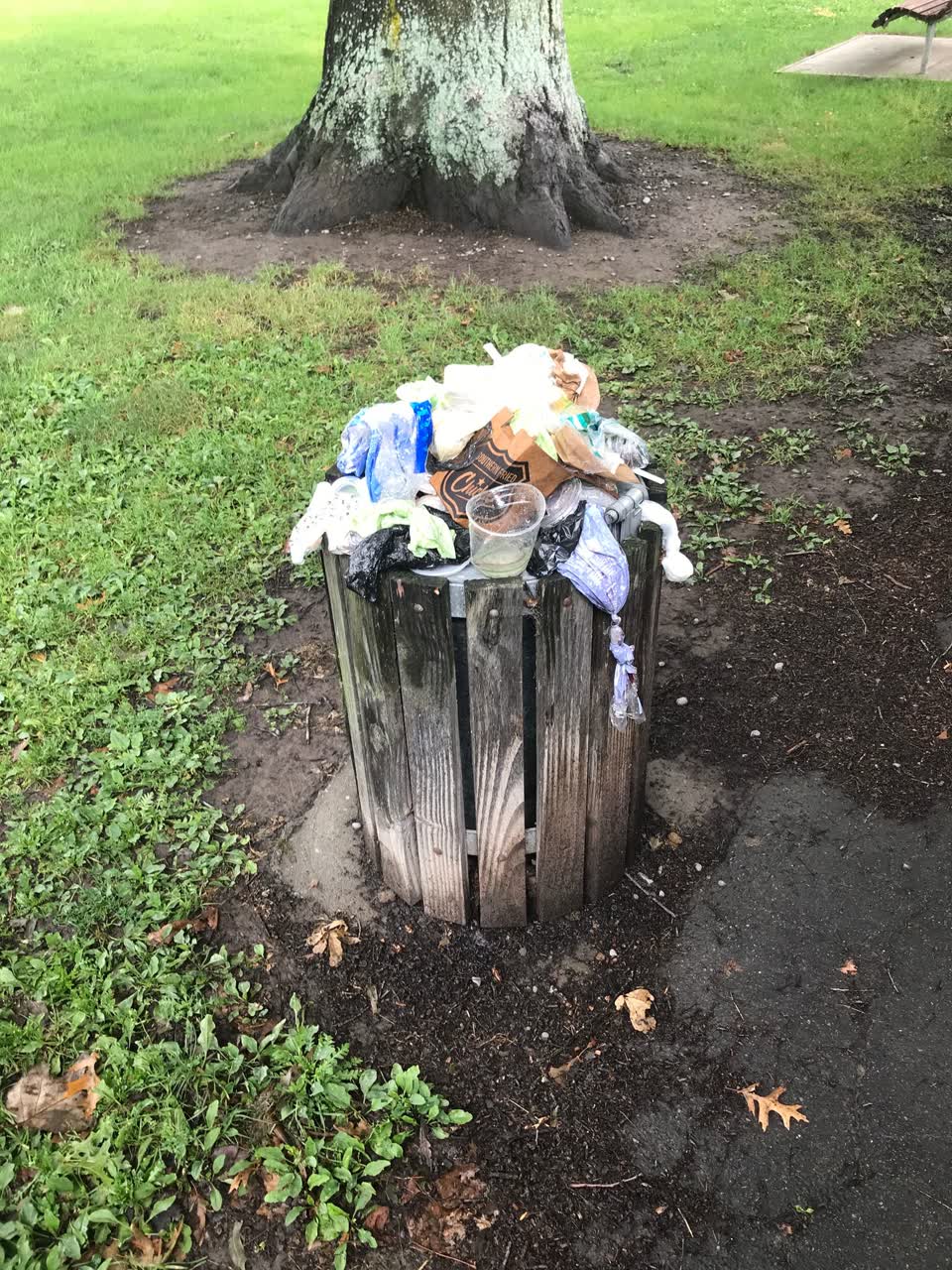The photograph attached to this rubbish/recycling report