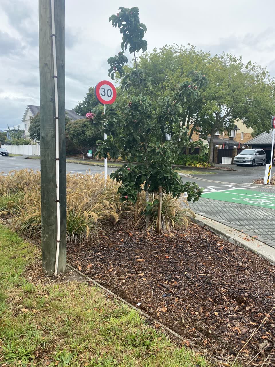 The photograph attached to this parks report