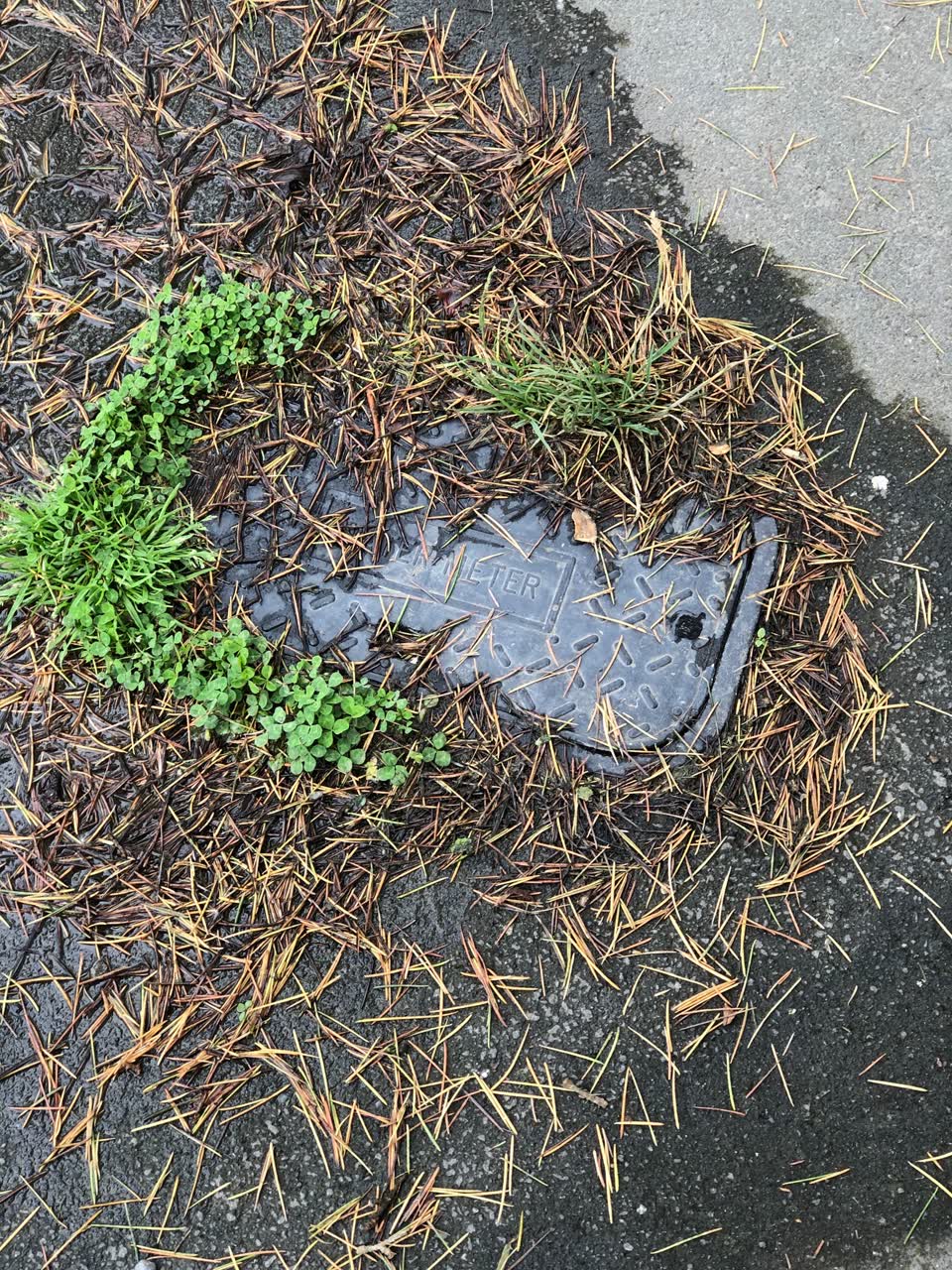 The photograph attached to this water leak report
