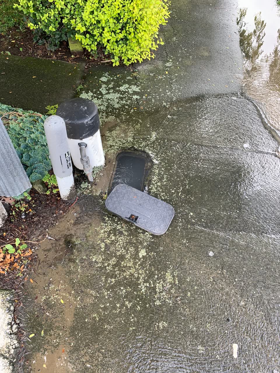 The photograph attached to this water leak report