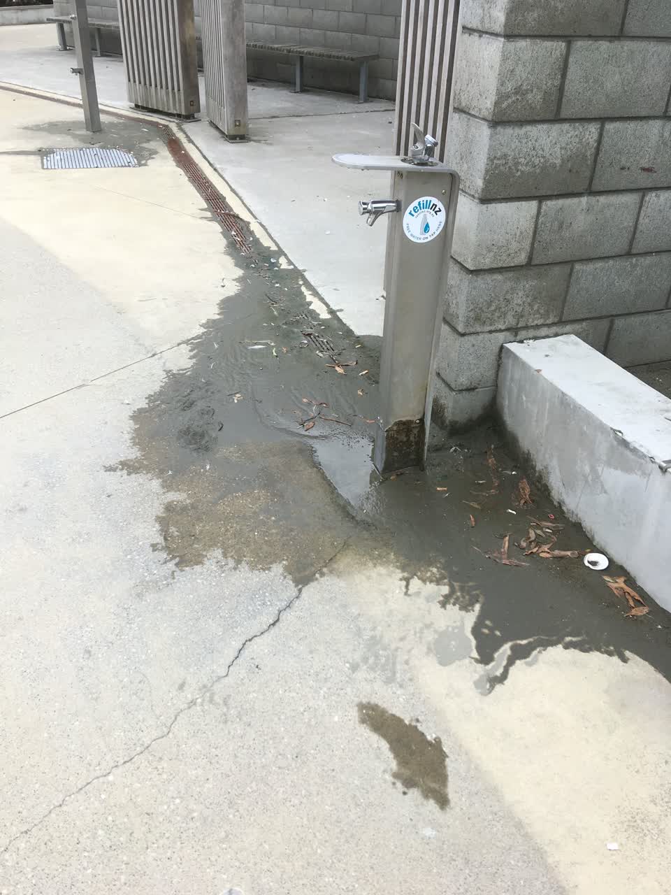 The photograph attached to this parks report