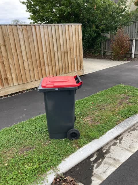 Rubbish/Recycling, a report photo