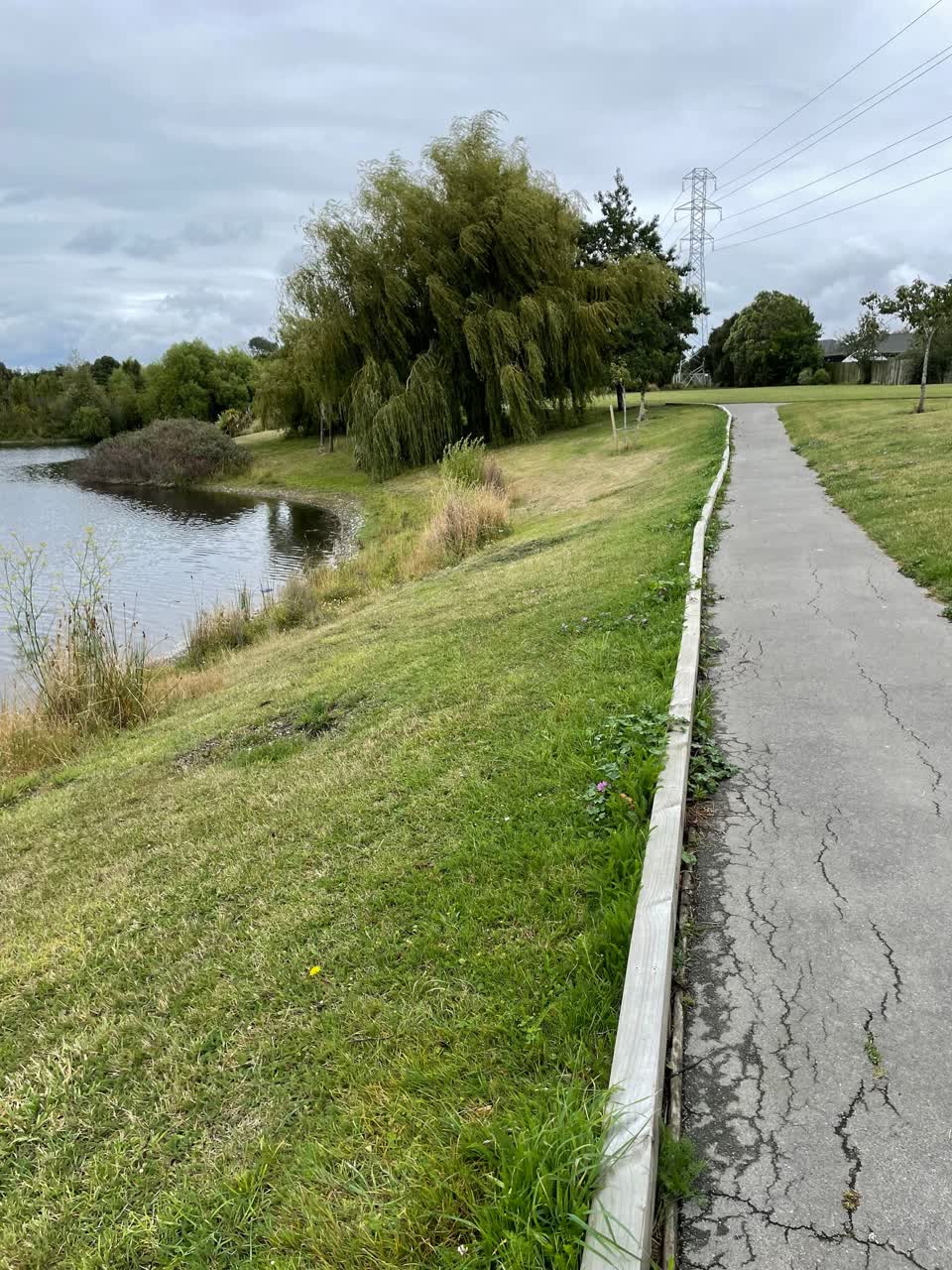 The photograph attached to this parks report