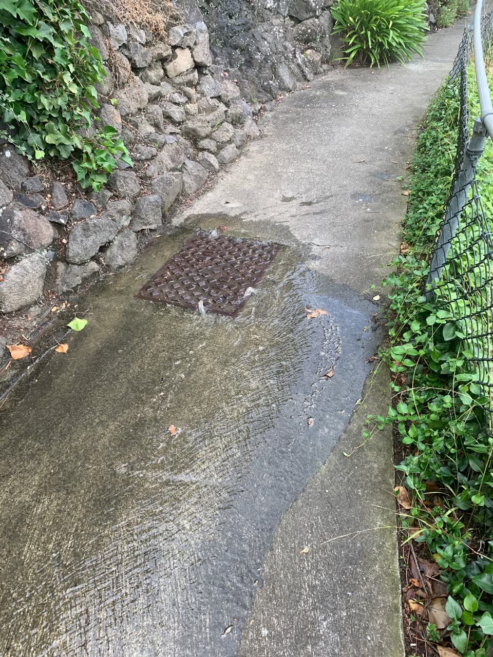 The photograph attached to this sewer - leak / blockage report