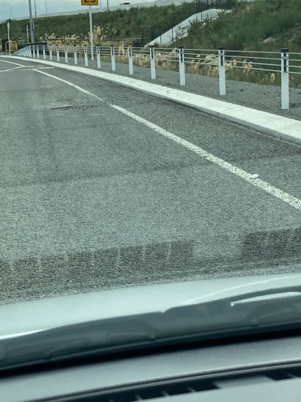 The photograph attached to this roading/streets report