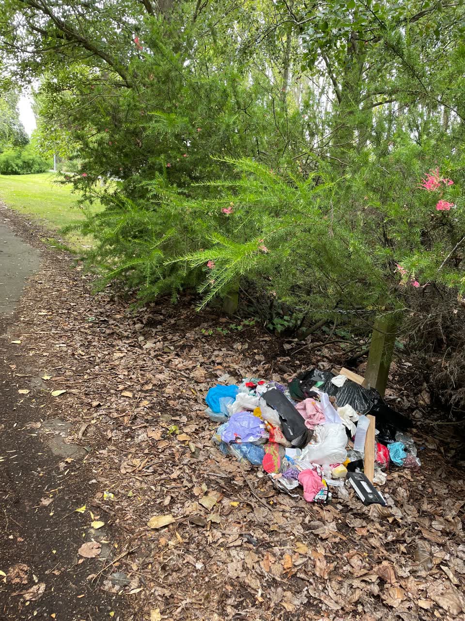 The photograph attached to this rubbish/recycling report