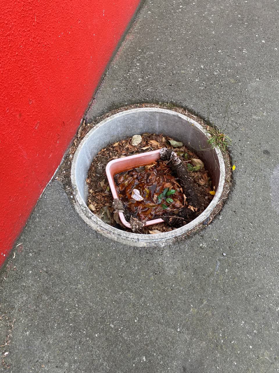 The photograph attached to this sewer - general report