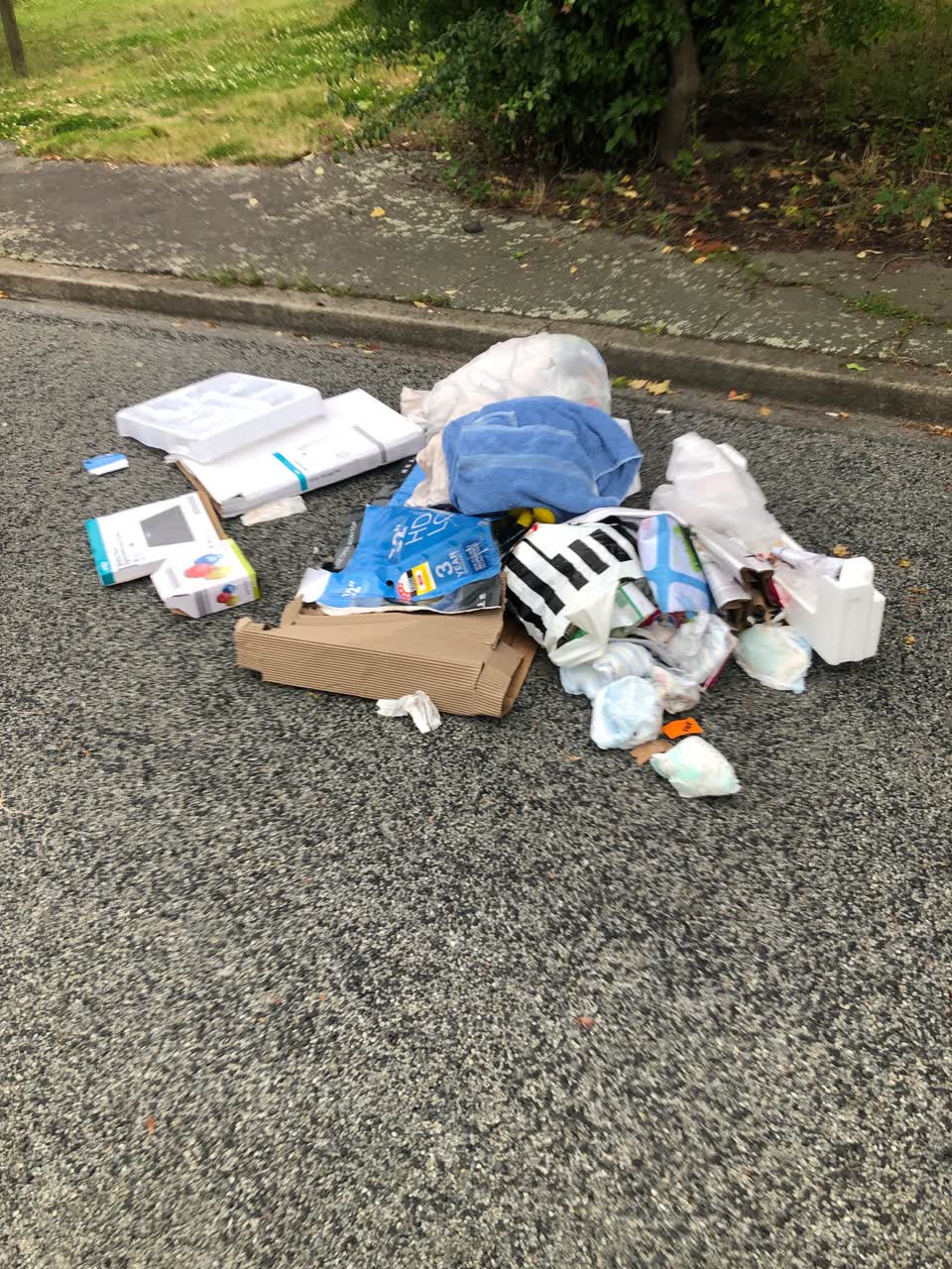 The photograph attached to this rubbish/recycling report
