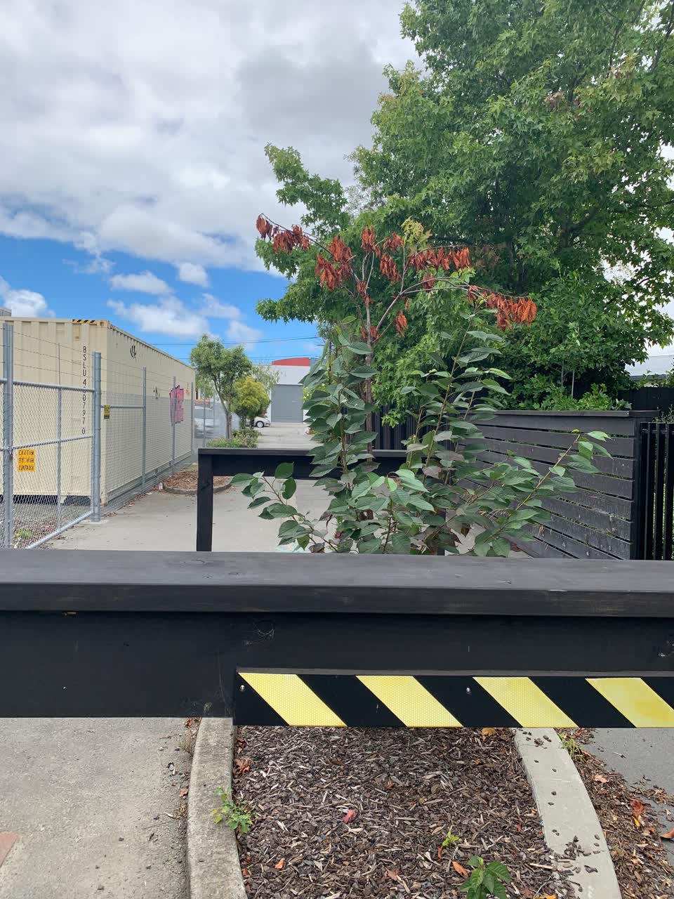 The photograph attached to this parks report