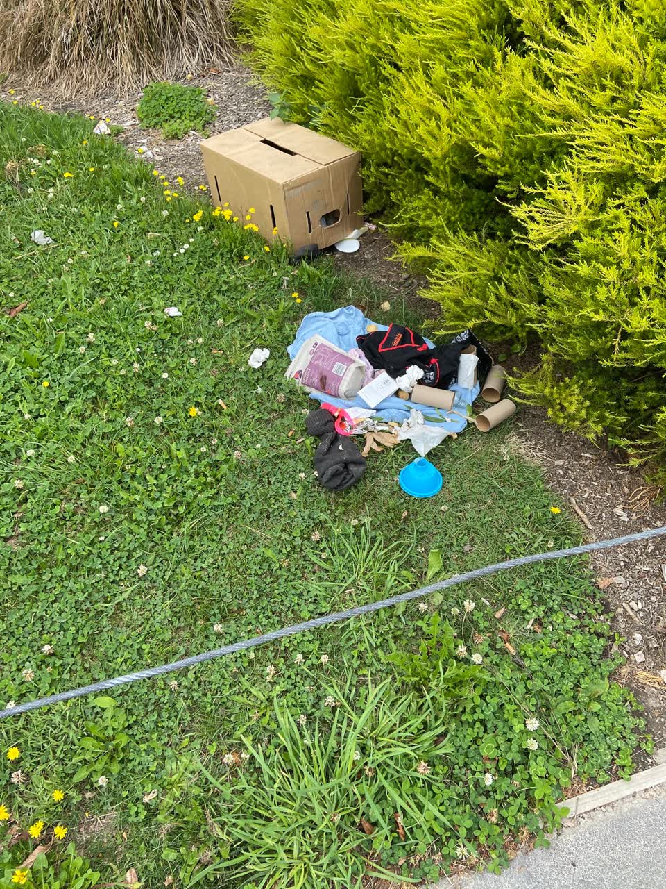 The photograph attached to this rubbish/recycling report