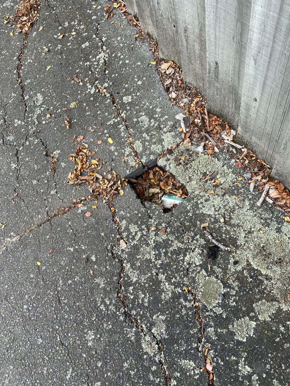 The photograph attached to this roading/streets report