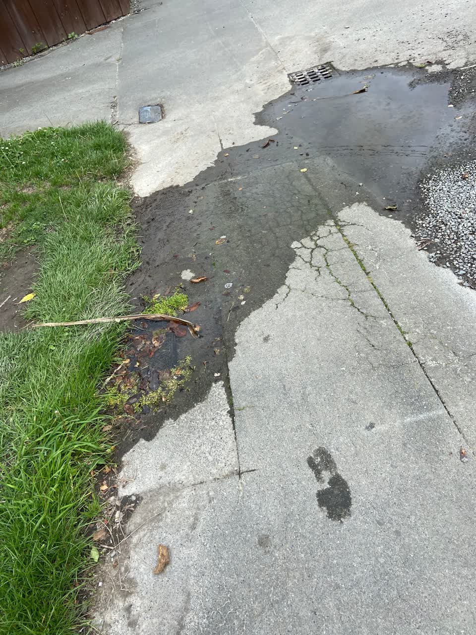 The photograph attached to this water leak report