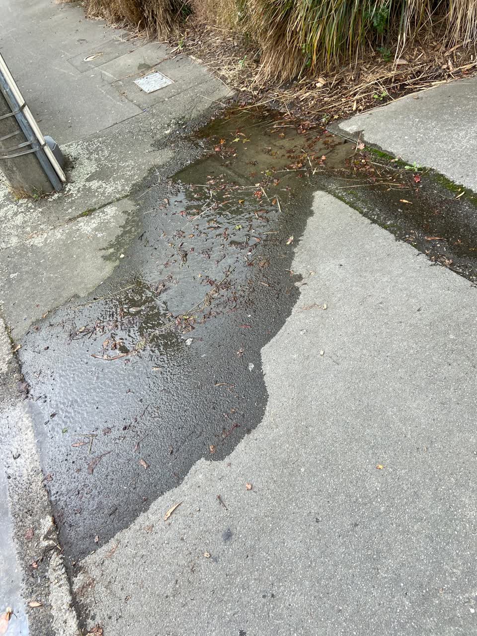 The photograph attached to this water leak report