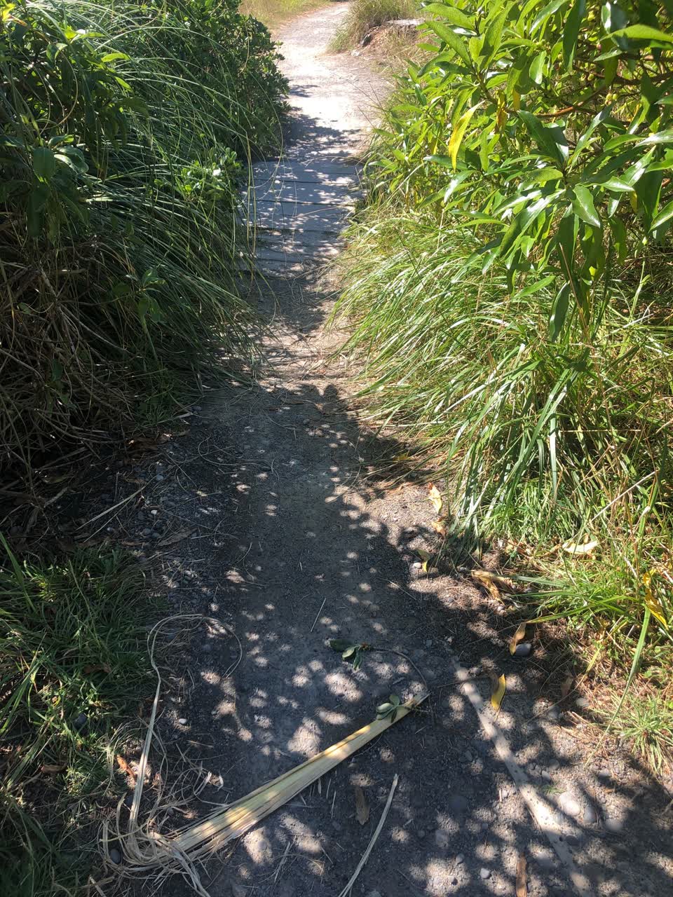The photograph attached to this parks report