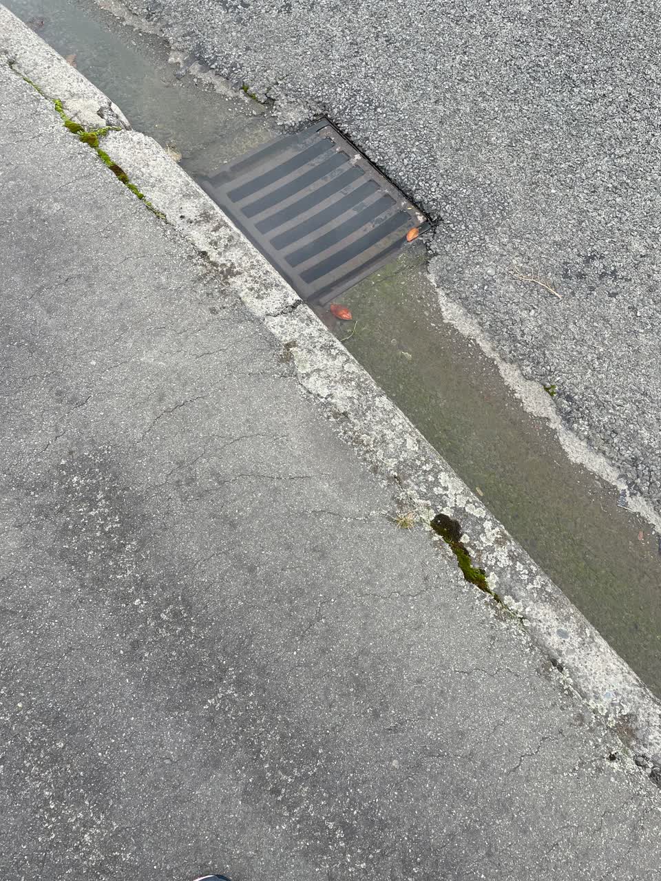 The photograph attached to this wastewater/stormwater report