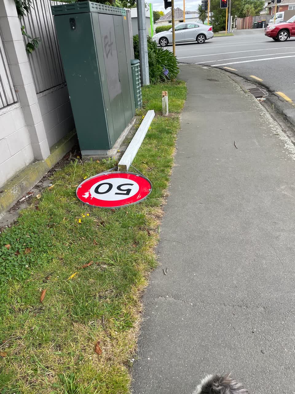 The photograph attached to this roading/streets report