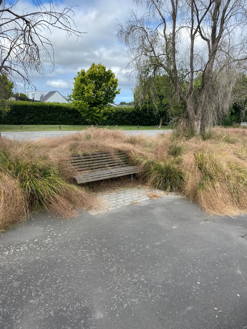 The photograph attached to this parks report