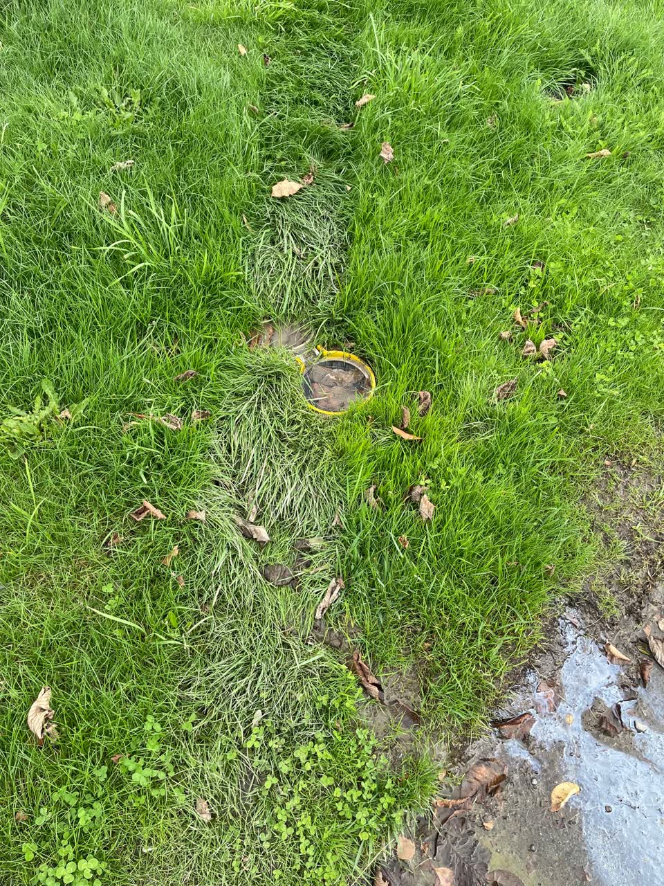 The photograph attached to this water leak report