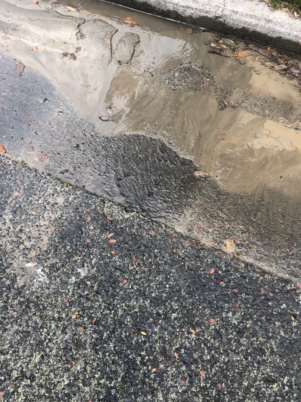 The photograph attached to this water leak report