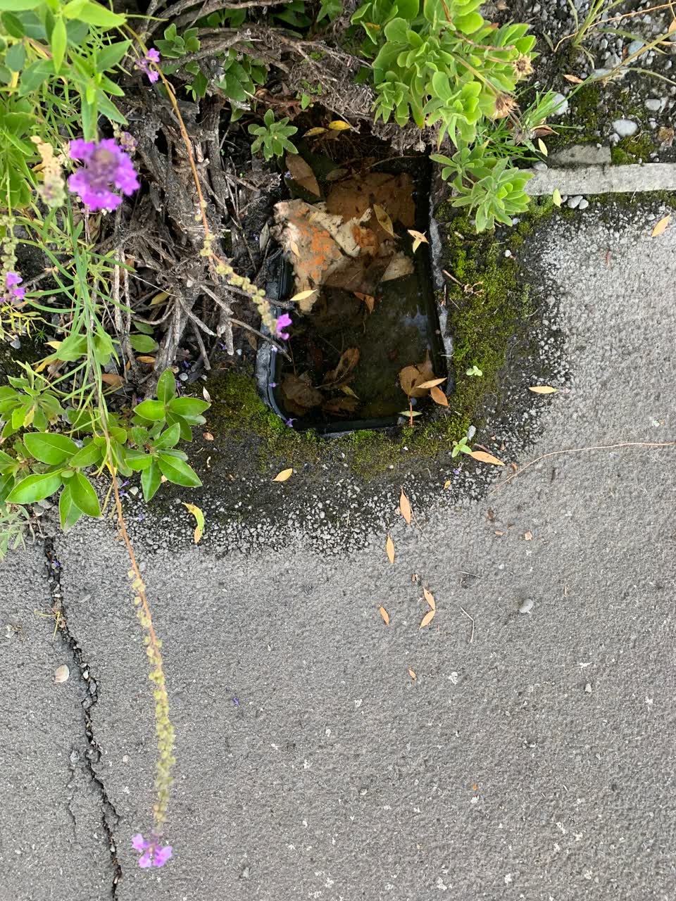 The photograph attached to this water leak report