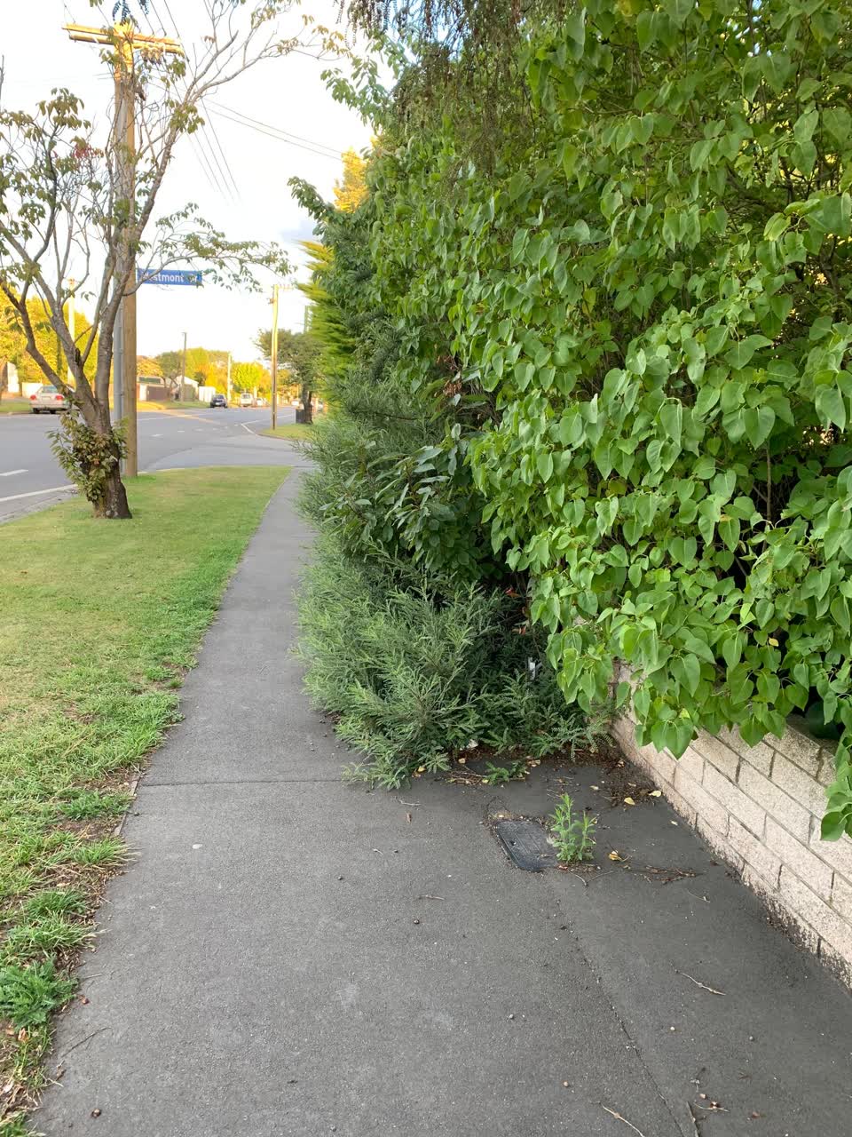 The photograph attached to this roading/streets report