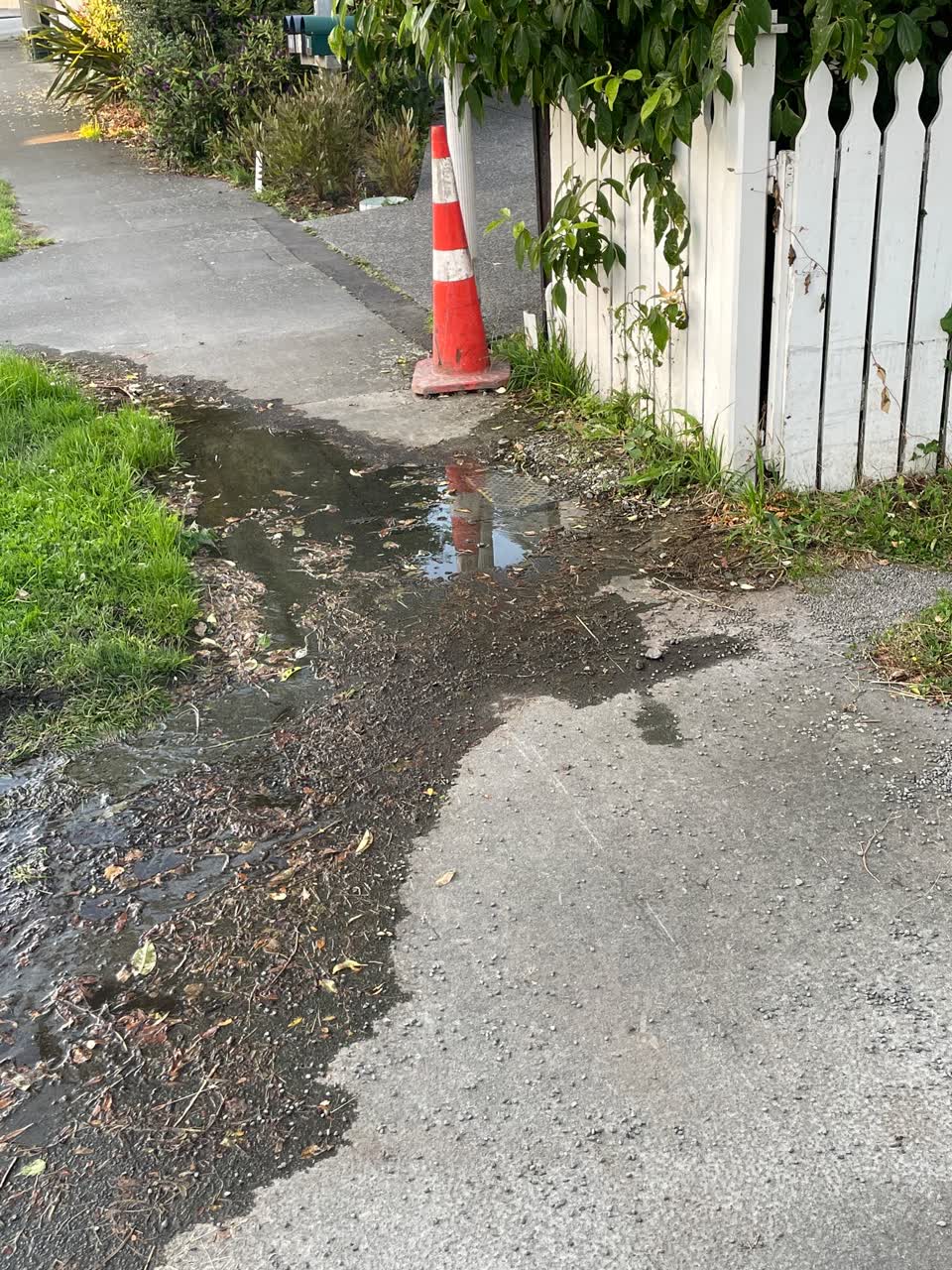 The photograph attached to this water leak report