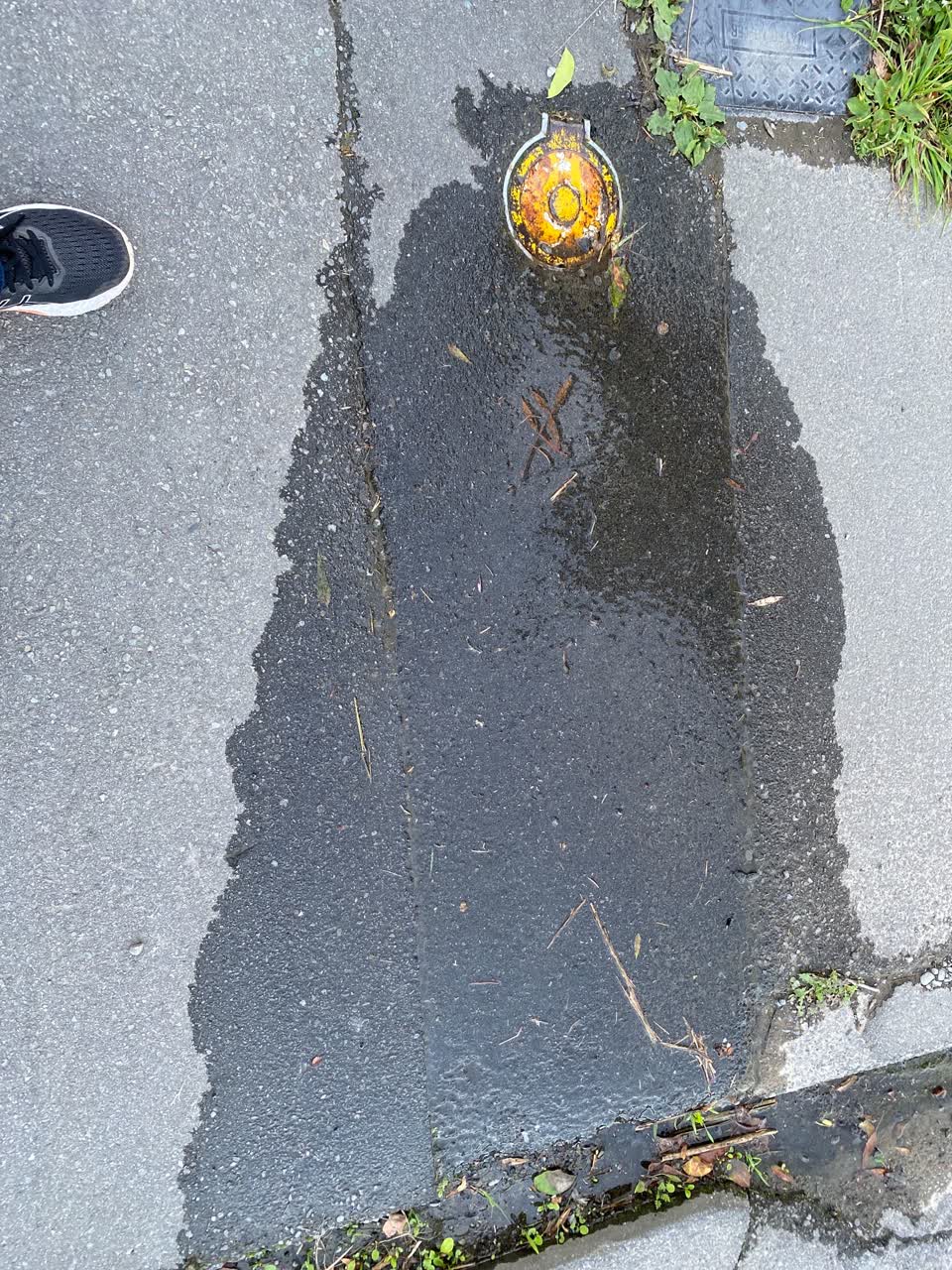 The photograph attached to this water leak report