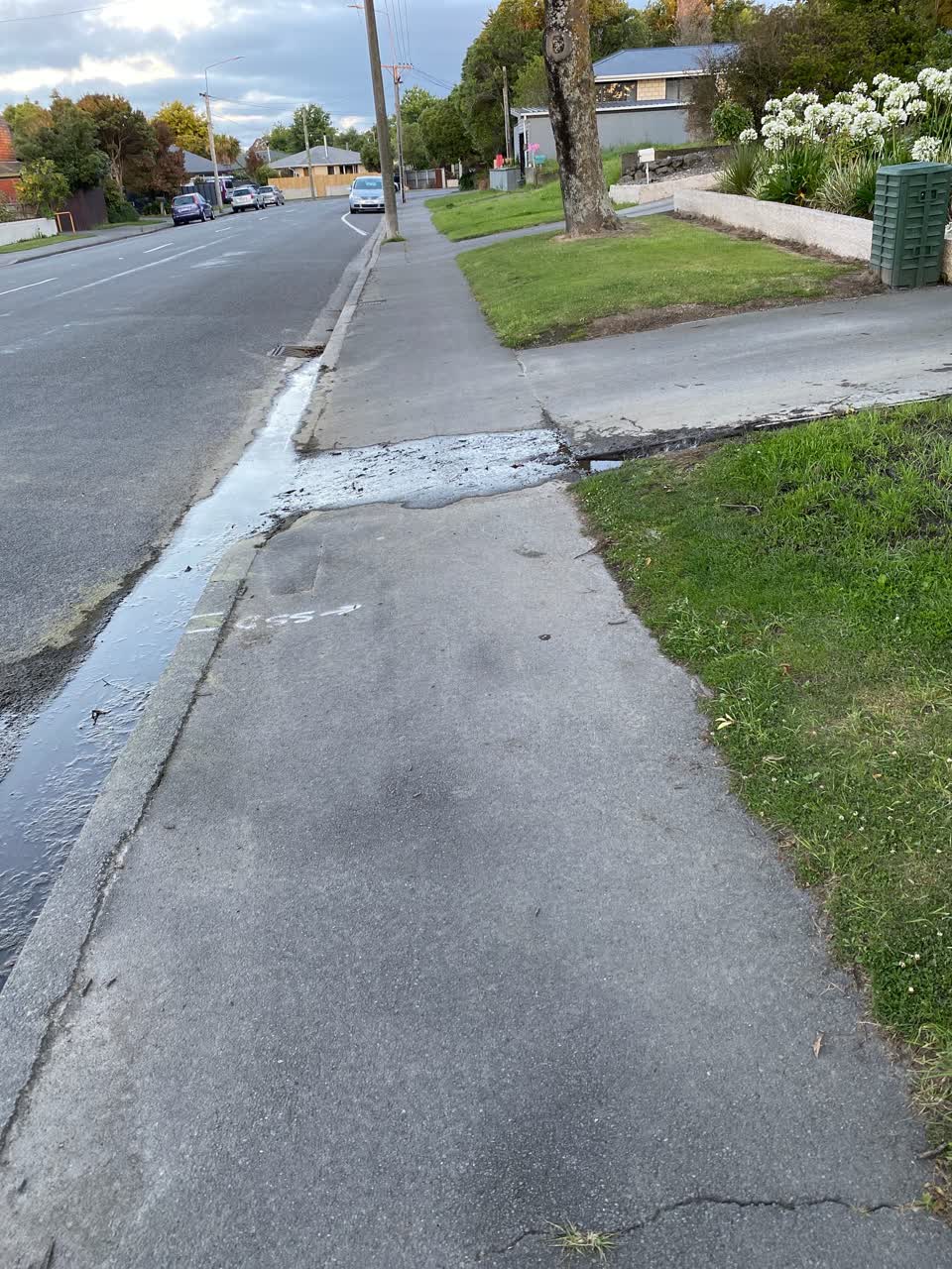 The photograph attached to this water leak report