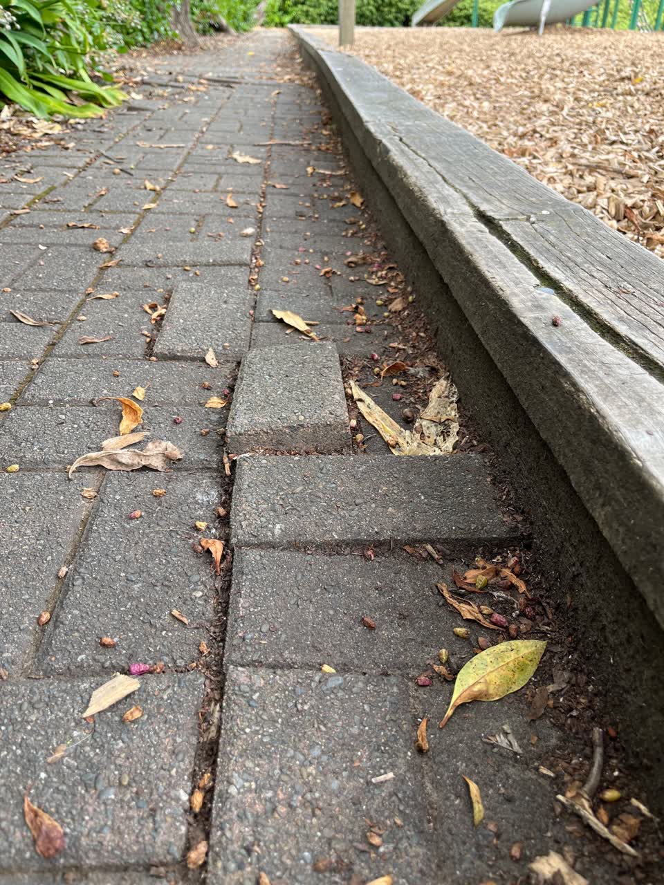 The photograph attached to this parks report
