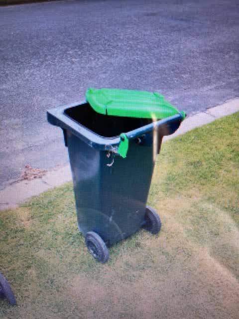 Rubbish/Recycling, a report photo